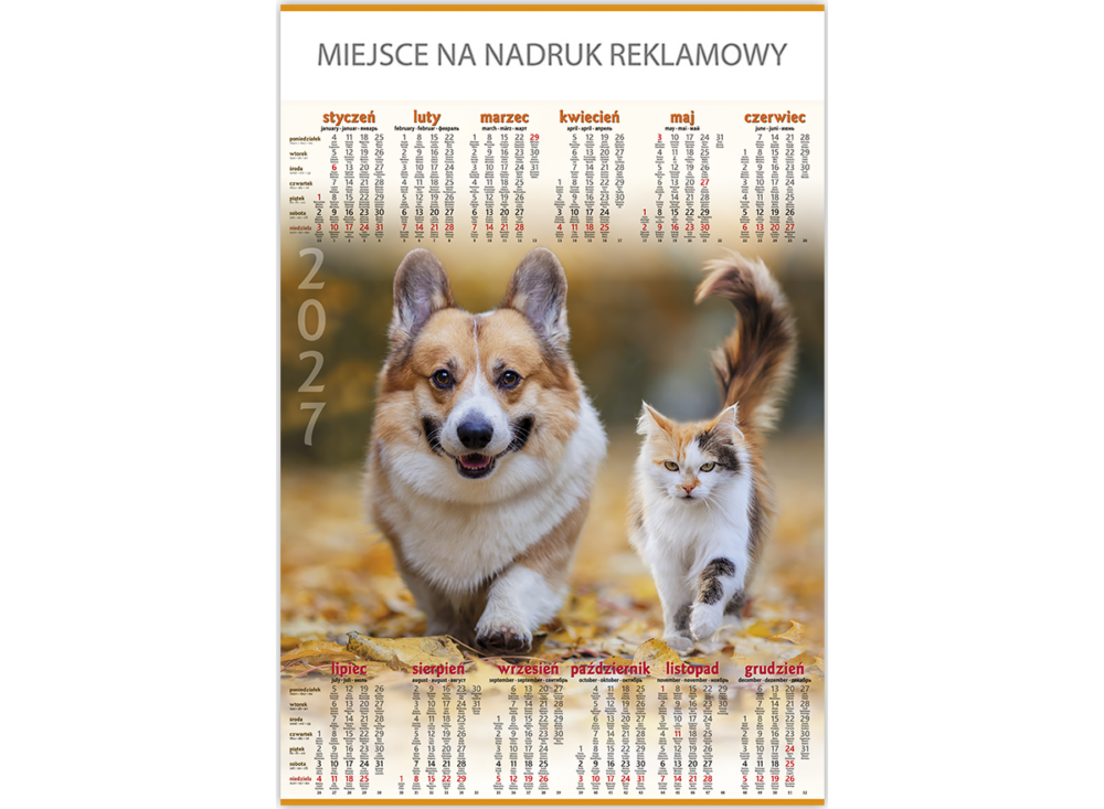 Kalendarz plakatowy - P18 Przyjaciele